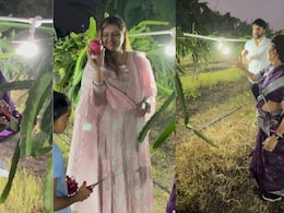 VIDEO: रितेश देशमुखच्या आईसाहेबांची कमाल कल्पना! ड्रॅगन फ्रुटच्या शेतात रावबली 'ही' नवी संकल्पना