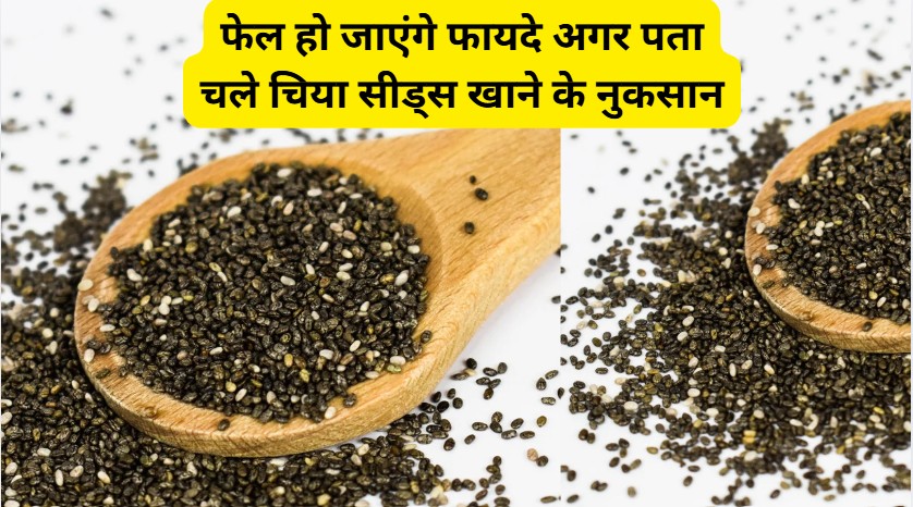 फेल हो जाएंगे फायदे अगर पता चले चिया सीड्स खाने के नुकसान, स्किन के डॉक्टर की बात सुनकर इसे बाहर फेंक देंगे
