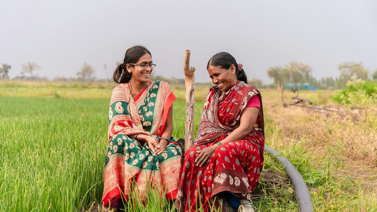 Saree Border Guide: Perfect Designs For Petite, Medium and Tall Frames Saree Border Guide: Perfect Designs For Petite, Medium and Tall Frames