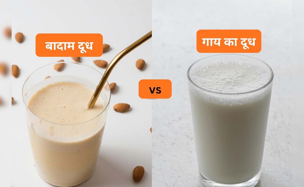 बादाम या गाय का दूध किसमें है ज्यादा दम? प्रोटीन और मजबूत हड्डियों का कौन है असली किंग