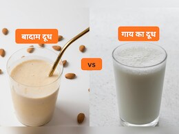 बादाम या गाय का दूध किसमें है ज्यादा दम? प्रोटीन और मजबूत हड्डियों का कौन है असली किंग