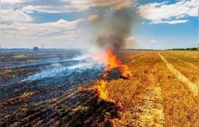 मध्य प्रदेश बना 'पराली जलाने' का नया हॉटस्पॉट, 10,800 मामले रिकॉर्ड, पंजाब-हरियाणा में भारी कमी