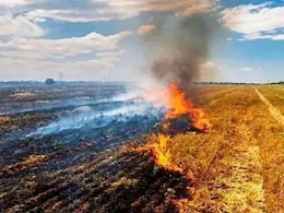 पराली जलाने के पंजाब से 2 गुना मामले मध्य प्रदेश में, 2 महीने के आंकड़ों ने चौंकाया, CREAMS लैब की रिपोर्ट
