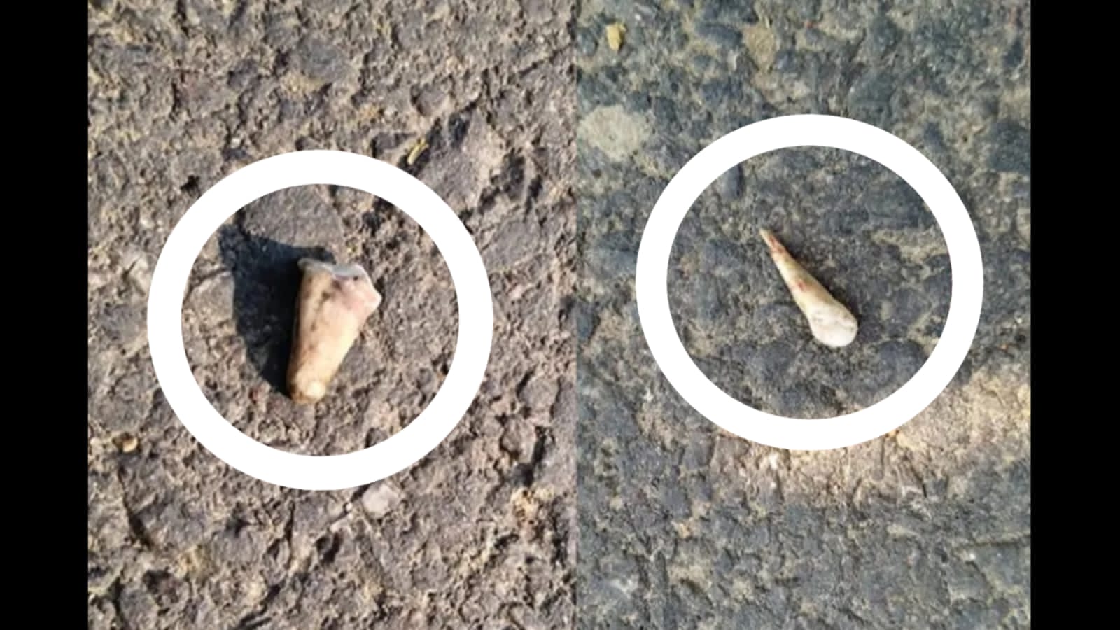 Latest and Breaking News on NDTV Latest and Breaking News on NDTV