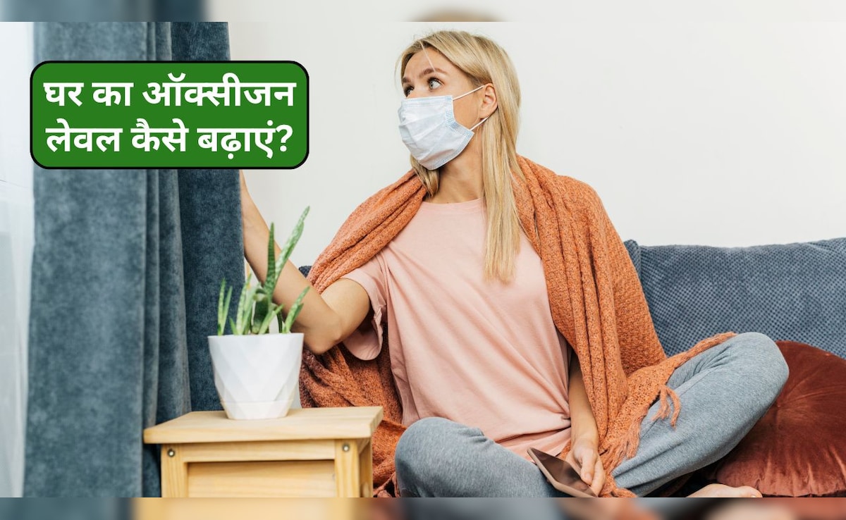 प्रदूषण से बचकर घर में ऐसे बढ़ाएं ऑक्सीजन लेवल, अभी जान लें ये आसान टिप्स, कुछ नहीं बिगाड़ पाएगा प्रदूषण