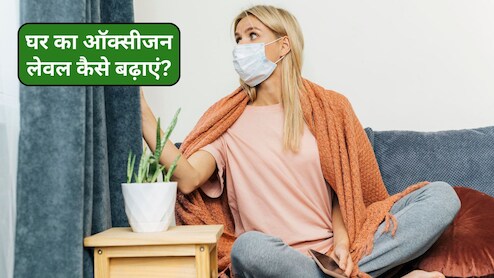 प्रदूषण से बचकर घर में ऐसे बढ़ाएं ऑक्सीजन लेवल, अभी जान लें ये आसान टिप्स, कुछ नहीं बिगाड़ पाएगा प्रदूषण