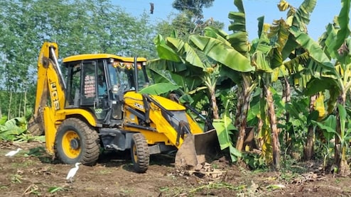 Amravati News: 1500 केळीची झाडे जमीनदोस्त, शेतकऱ्यानेच फिरवला बुलडोझर, अमरावतीच्या बळीराजाची व्यथा