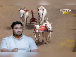 Sangli News: देशातील सर्वात मोठी बैलगाडा शर्यत! विजेत्याला मिळणार, फॉर्च्यूनर,थार, ट्रॅक्टर अन् बरच काही...