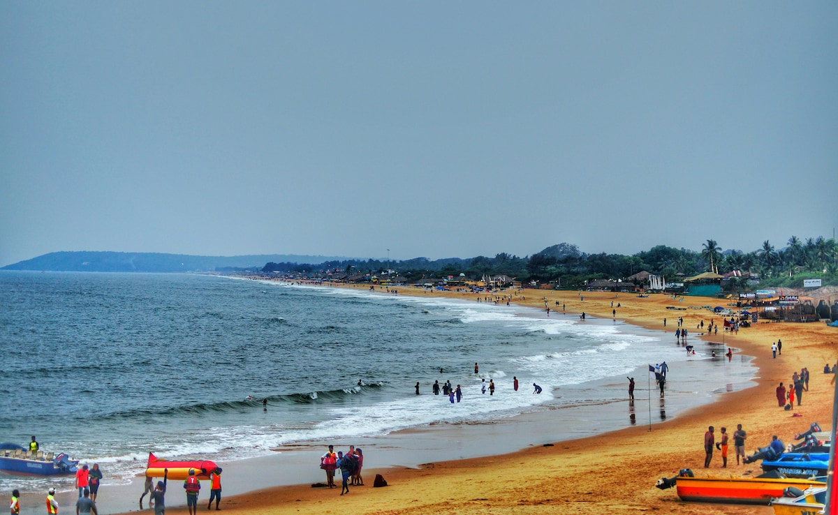 Latest and Breaking News on NDTV