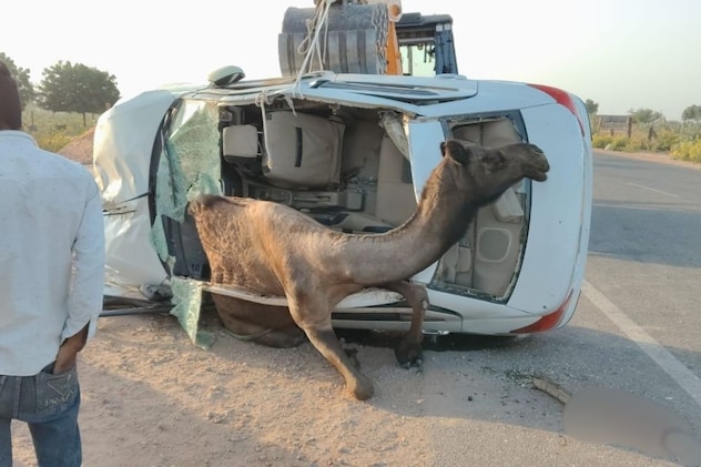 कार से बाहर आते ही भागा