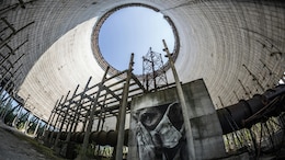 Higher Frequency DNA Mutations Found In Children Of Chernobyl Cleanup Workers