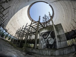 Chernobyl's Black Fungi Thrive On Radiation And Could Help Protect Life In Space