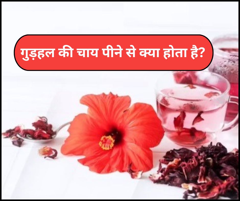 कोलेस्ट्रॉल कम करने से लेकर वजन घटाने तक, सेहत के लिए वरदान गुड़हल की चाय