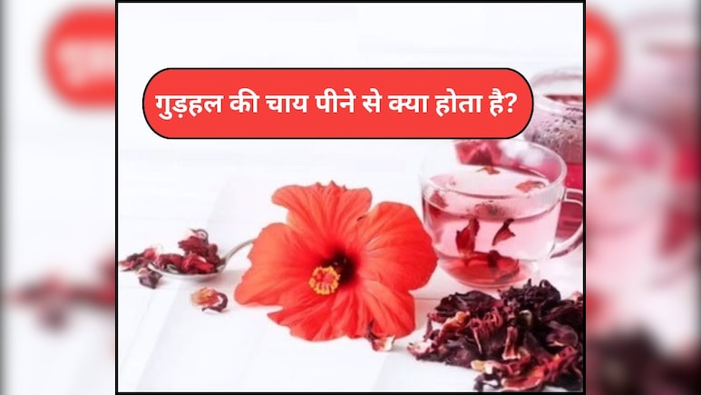 कोलेस्ट्रॉल कम करने से लेकर वजन घटाने तक, सेहत के लिए वरदान गुड़हल की चाय