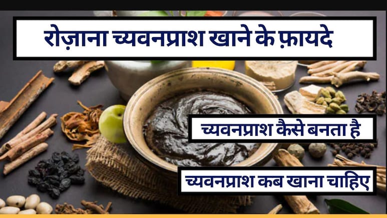 सर्दियों में रोज़ाना च्यवनप्राश खाने के फ़ायदे-नुकसान, च्यवनप्राश कब खाना चाहिए, खाने का सही तरीका और च्यवनप्राश कैसे बनता है, यहां जानें