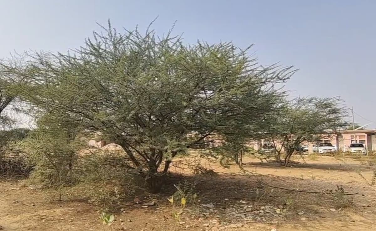 Latest and Breaking News on NDTV Latest and Breaking News on NDTV