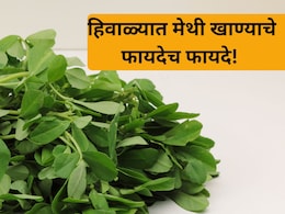 Benefits of eating Methi: हिवाळ्यात मेथी खाण्याचे काय आहेत फायदे? शरीरावर कसा होतो परिणाम?