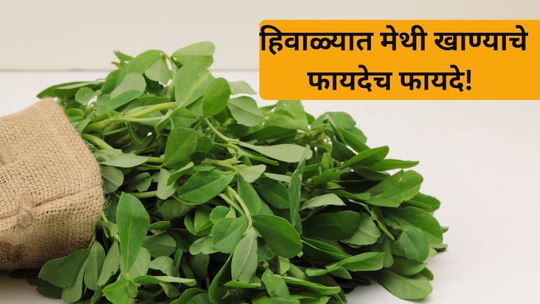 Benefits of eating Methi: हिवाळ्यात मेथी खाण्याचे काय आहेत फायदे? शरीरावर कसा होतो परिणाम?