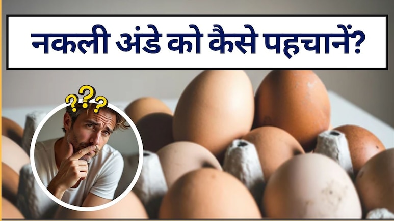 प्लास्टिक के अंडों को कैसे पहचानें? कहीं आपके घर में तो नहीं