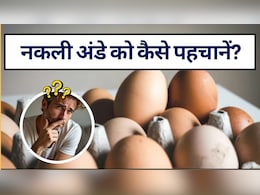 How To Identify Plastic Eggs: नकली अंडे को कैसे पहचानें? जानें नकली अंडे खाने से क्या होता है?