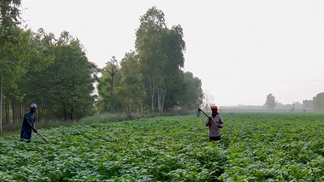 The Young Farmer Turning Data Into Decisions