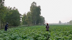 The Young Farmer Turning Data Into Decisions