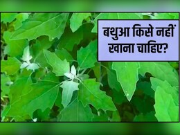 बथुआ खाने से कौन सी बीमारी ठीक होती है? बथुआ कब्ज के लिए अच्छा है, बथुआ रोज खा सकते हैं क्‍या
