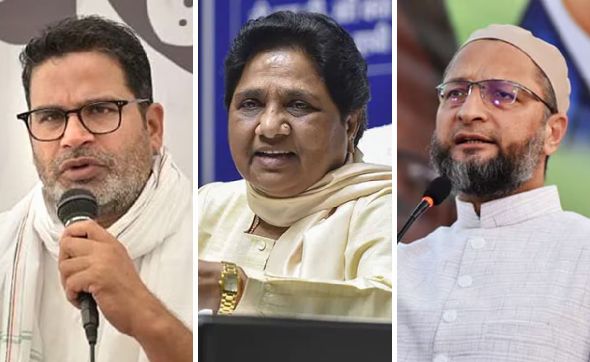 How Smaller Parties Shaped Bihar