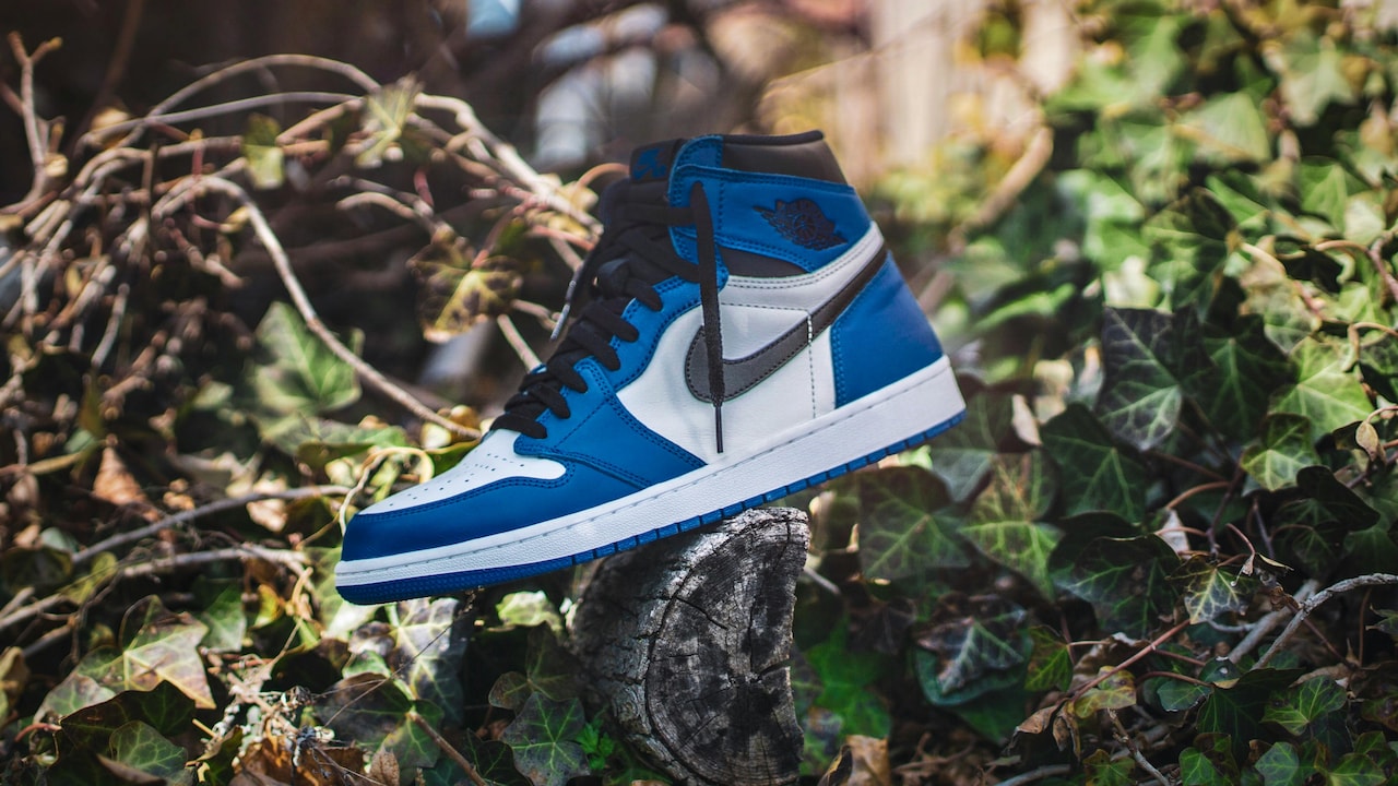 How To Choose The Best Sports Shoes For Parents: Comfort First