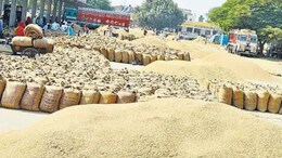 Chhattisgarh: हड़ताल पर जाने वाले 23 अधिकारी-कर्मचारी बर्खास्त, लिपिक-डाटा एंट्री ऑपरेटर शामिल, कार्य पर नहीं लौटने के बाद एक्शन