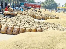 Chhattisgarh: हड़ताल पर जाने वाले 23 अधिकारी-कर्मचारी बर्खास्त, लिपिक-डाटा एंट्री ऑपरेटर शामिल, कार्य पर नहीं लौटने के बाद एक्शन