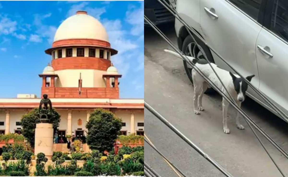 दिल्‍ली में एक कुत्ते का आतंक: बुजुर्ग महिला ने सुप्रीम कोर्ट में लगाई गुहार, जानें पूरा मामला