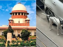 दिल्ली में एक कुत्ते का आतंक: बुजुर्ग महिला ने सुप्रीम कोर्ट में लगाई गुहार, जानें पूरा मामला