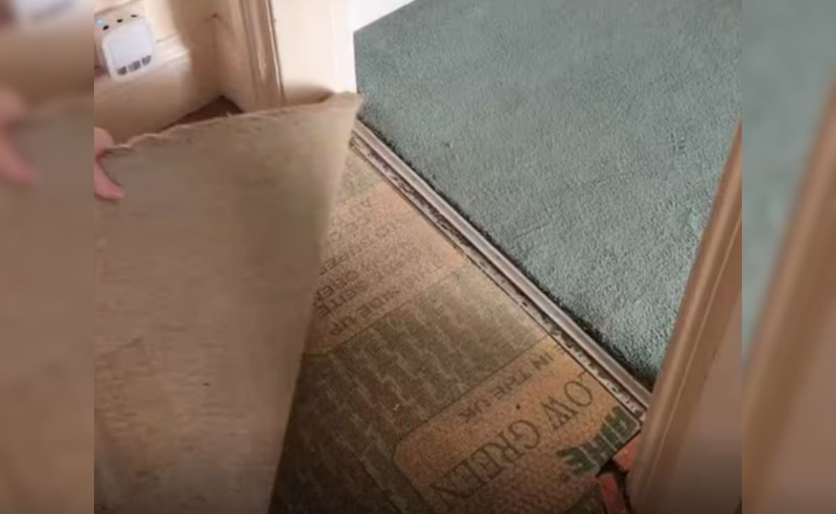 Latest and Breaking News on NDTV Latest and Breaking News on NDTV