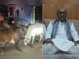 'सांडों की लड़ाई तो पूरी...'; BJP-RSS के लिए ये क्या बोल गए दिग्विजय सिंह! हिटलर के दौर से की तुलना