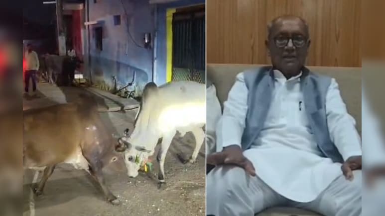 'सांडों की लड़ाई तो पूरी...'; BJP-RSS के लिए ये क्या बोल गए दिग्विजय सिंह! हिटलर के दौर से की तुलना