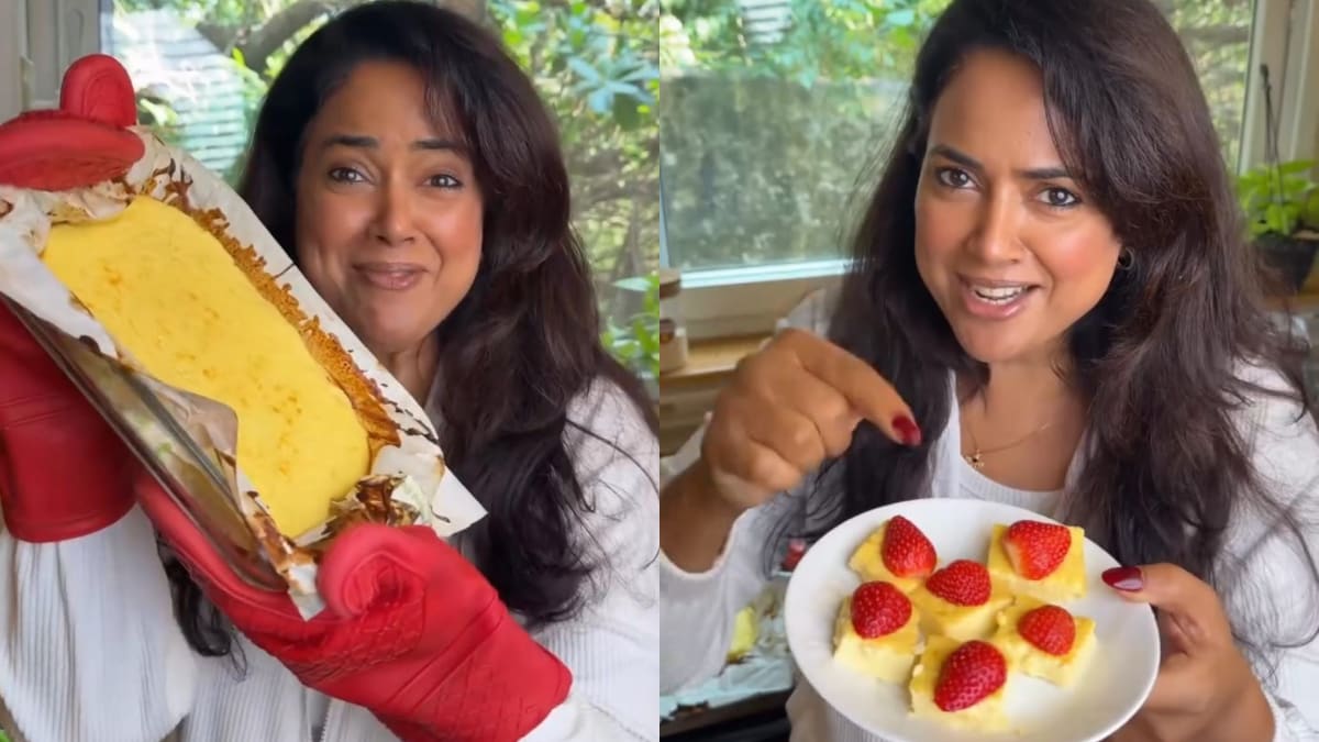 Sameera Reddy's Yoghurt Paneer Cheesecake Is A High-Protein Delight (Easy Recipe Inside)