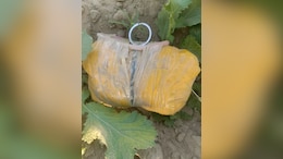 भारत-पाकिस्तान सीमा पर BSF ने जब्त की 2.5 करोड़ की ड्रग्स, अलर्ट मोड पर सुरक्षा एजेंसियां &nbsp;
