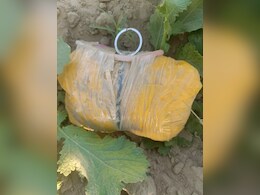 भारत-पाकिस्तान सीमा पर BSF ने जब्त की 2.5 करोड़ की ड्रग्स, अलर्ट मोड पर सुरक्षा एजेंसियां  