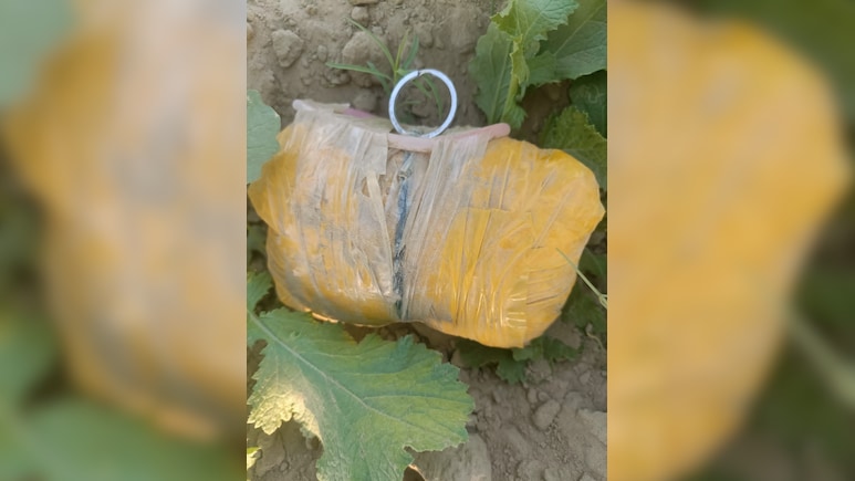 भारत-पाकिस्तान सीमा पर BSF ने जब्त की 2.5 करोड़ की ड्रग्स, अलर्ट मोड पर सुरक्षा एजेंसियां  