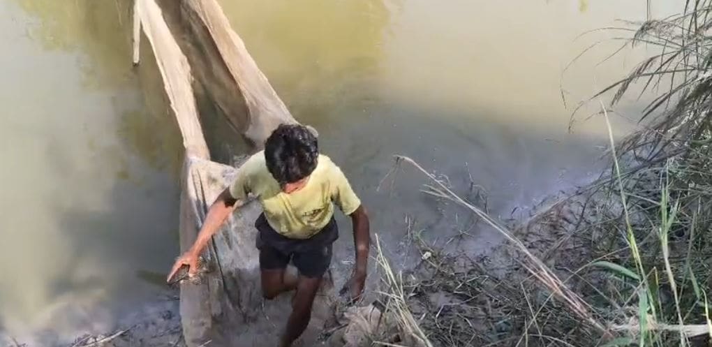 Latest and Breaking News on NDTV Latest and Breaking News on NDTV