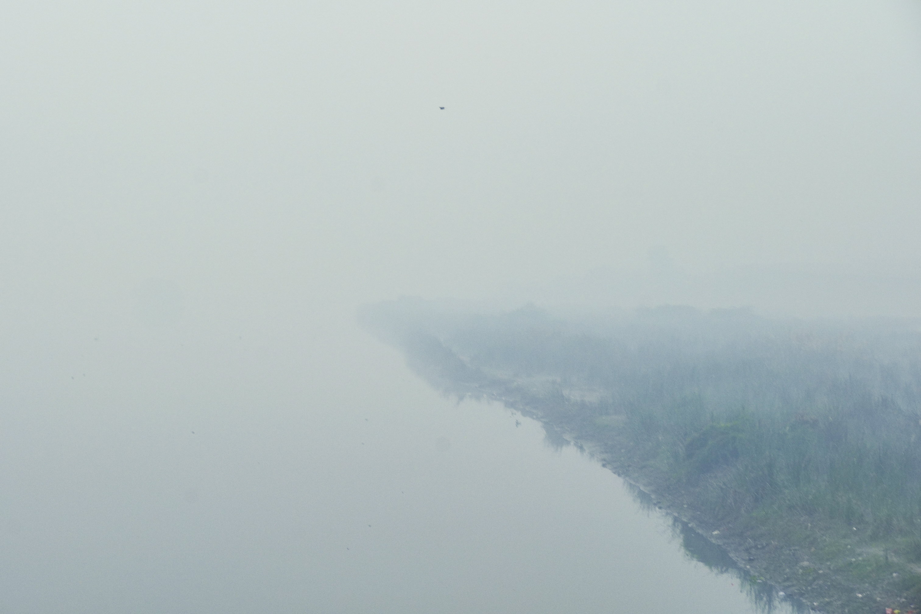 Delhi's Toxic Air Hides Another Health Crisis: 'Sunshine Vitamin' Deficiency