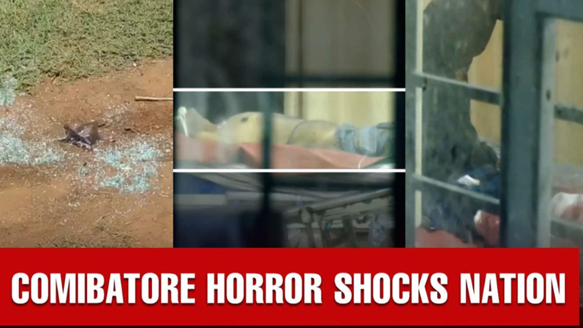 From Coimbatore Assault To Bengal's Voter Row - The South Speaks Out