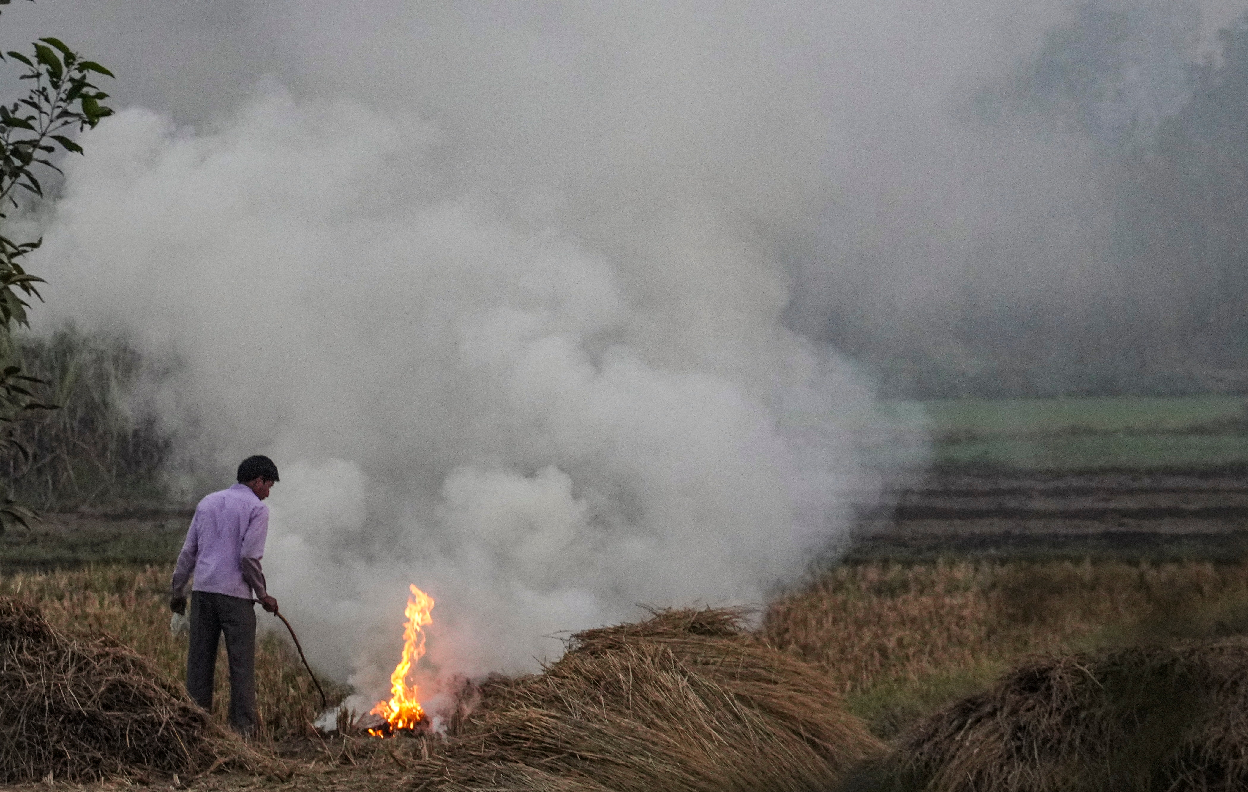 Latest and Breaking News on NDTV Latest and Breaking News on NDTV