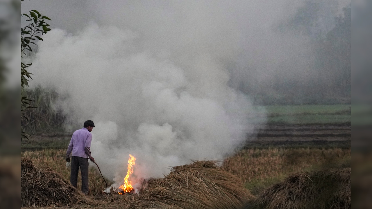 पराली पर आसमान से नजर, सीधा खेत मालिक को म‍िलेगा नोट‍िस, 4 राज्‍यों में कैसे कम होगा प्रदूषण?