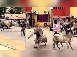 जब बीच सड़क पर आउट ऑफ कंट्रोल हुआ सांड, रास्ता बन गया WWE का अखाड़ा, गुस्सा दिला रहे बंदे की निकाली हेकड़ी