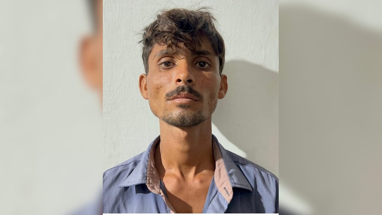 Rajasthan: तारबंदी क्रॉस करके भारत में घुसा पाकिस्तानी नागरिक, फिर पशुओं के बाड़े में छुपकर बैठा; BSF ने पकड़ा