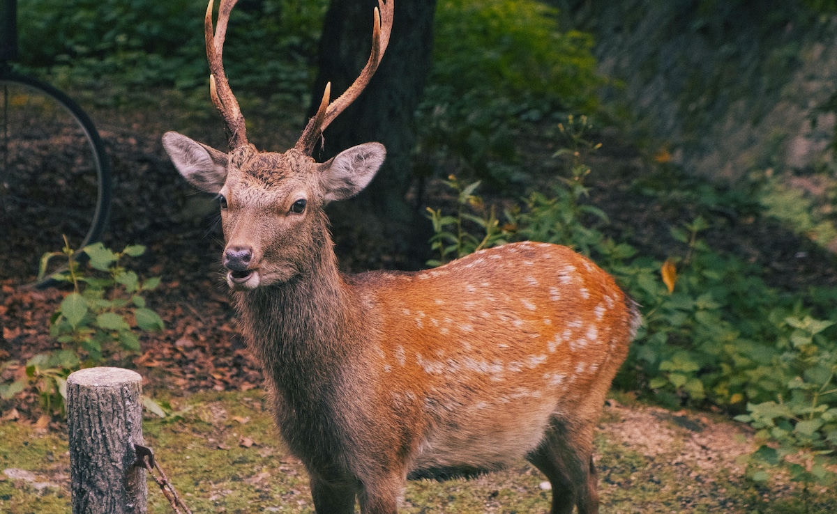 Latest and Breaking News on NDTV Latest and Breaking News on NDTV