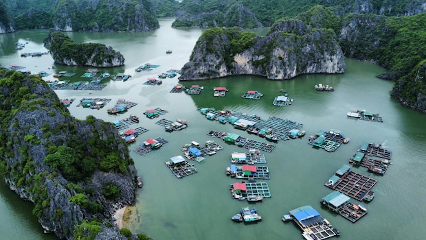 Latest and Breaking News on NDTV