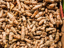 सर्दी के मौसम में बॉडी Detox करने में रामबाण है ये पीला मसाला...